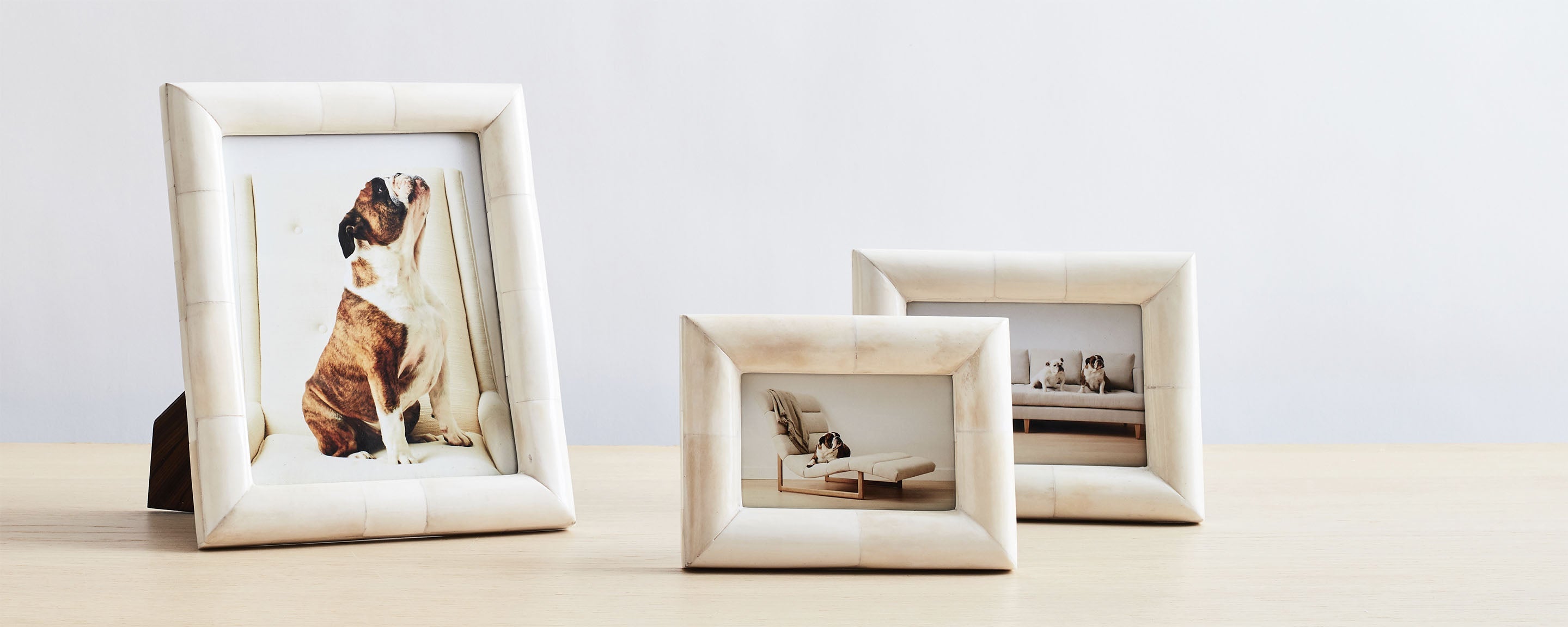 chunky bone natural picture frame collection