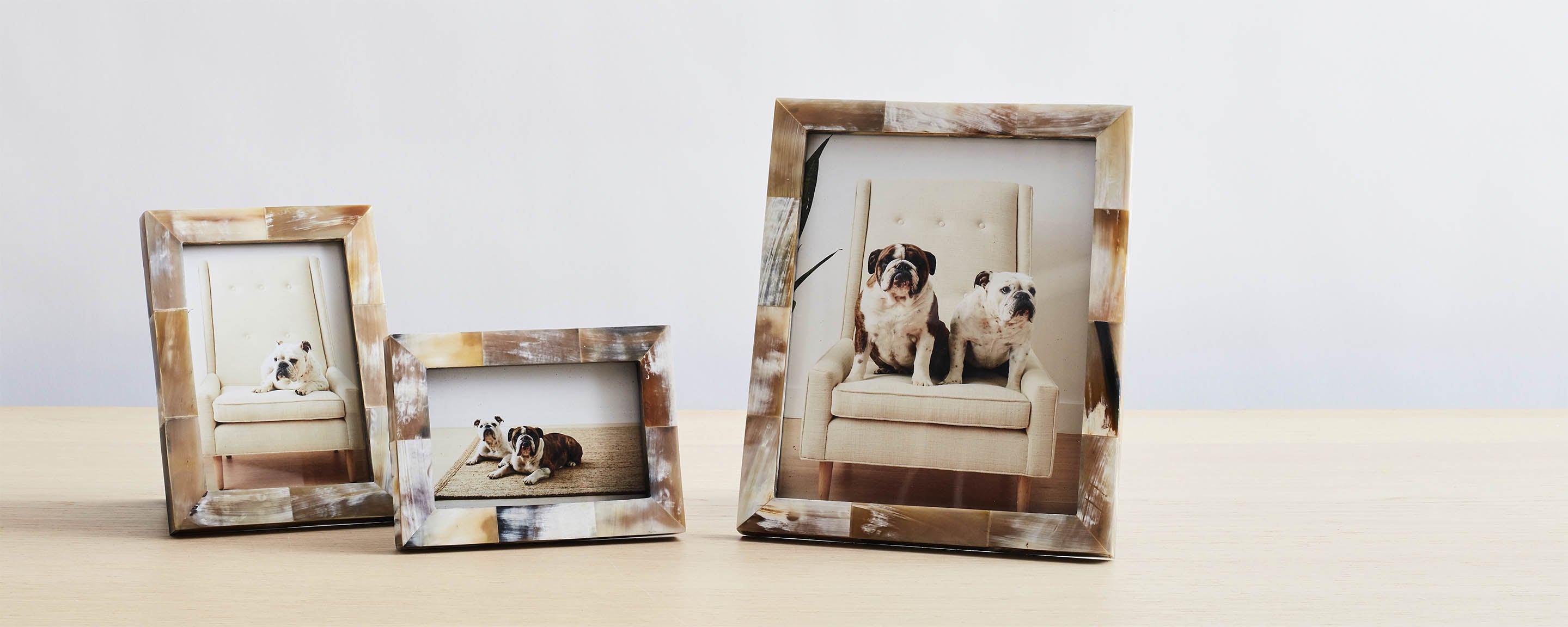 natural horn picture frame collection