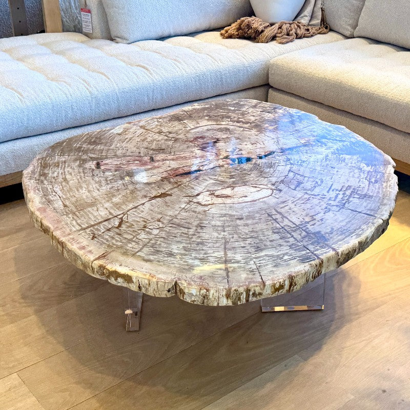 petrified wood coffee table with lucite legs