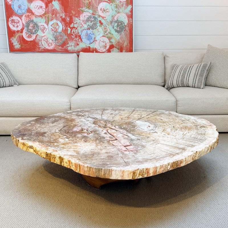 petrified wood coffee table with wood base