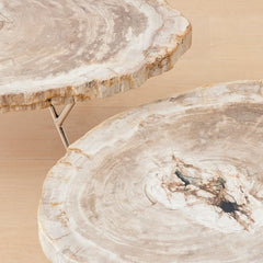 the petrified wood nesting coffee tables