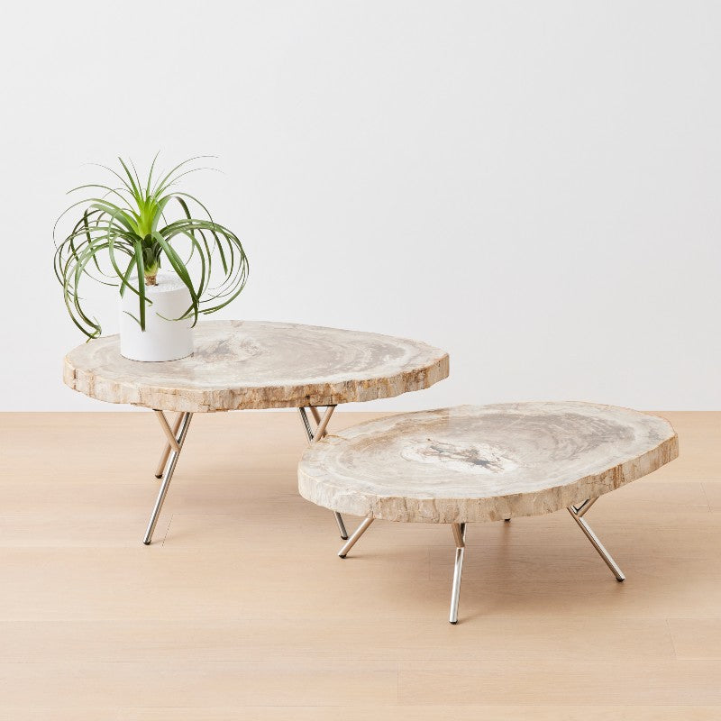 the petrified wood nesting coffee tables